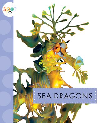 Cover for Mari Schuh · Sea Dragons (Book) (2021)