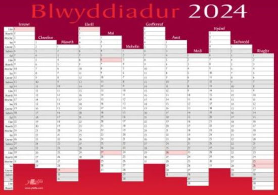 Cover for Y Lolfa · Blwyddiadur 2024 Welsh Wall Planner (Poster)