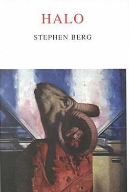 Cover for Stephen Berg · Halo (Hardcover Book) (2000)