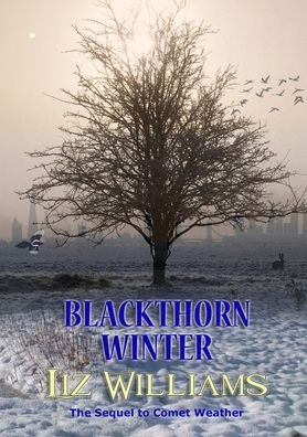Cover for Liz Williams · Blackthorn Winter (Paperback Book) (2021)