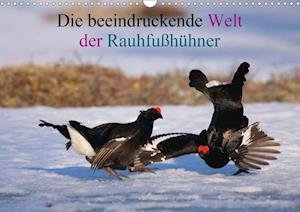 Cover for Erlwein · Die beeindruckende Welt der Rau (Book)