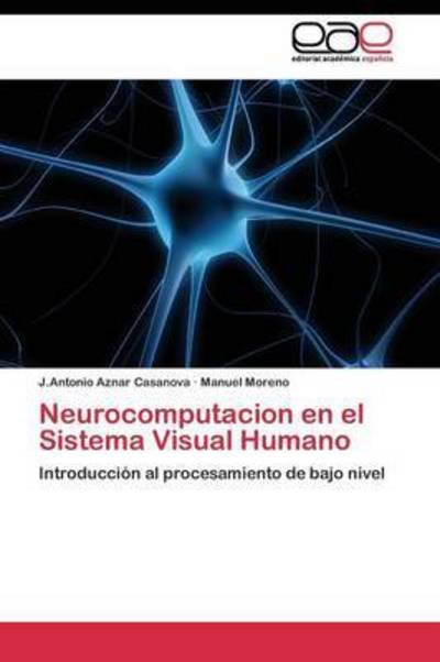 Cover for Aznar Casanova J Antonio · Neurocomputacion en El Sistema Visual Humano (Taschenbuch) (2011)