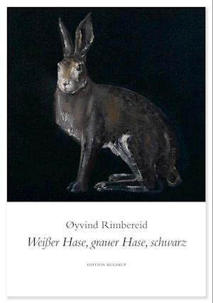 Cover for Øyvind Rimbereid · Weißer Hase, grauer Hase, schwarz (Book) (2023)