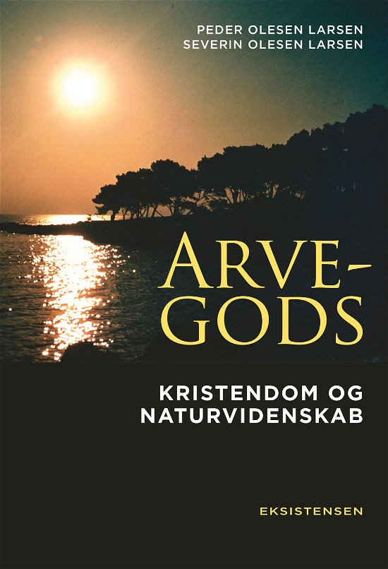Cover for Severin Olesen Larsen Peder Olesen Larsen · Arvegods (Sewn Spine Book) [1e uitgave] (2019)
