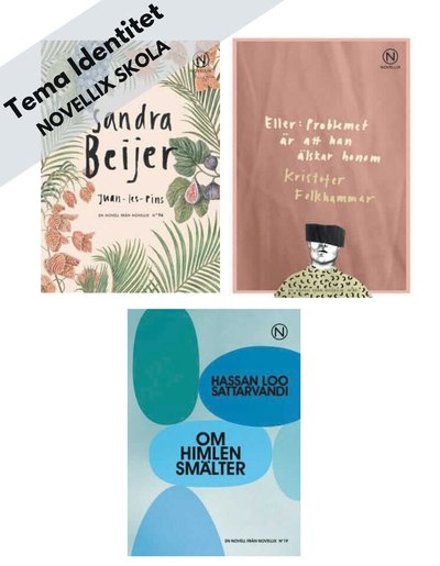 Novellix Skola: Tema Identitet - paket med 24 böcker - Kristofer Folkhammar - Books - Novellix - 9789175894799 - July 17, 2020