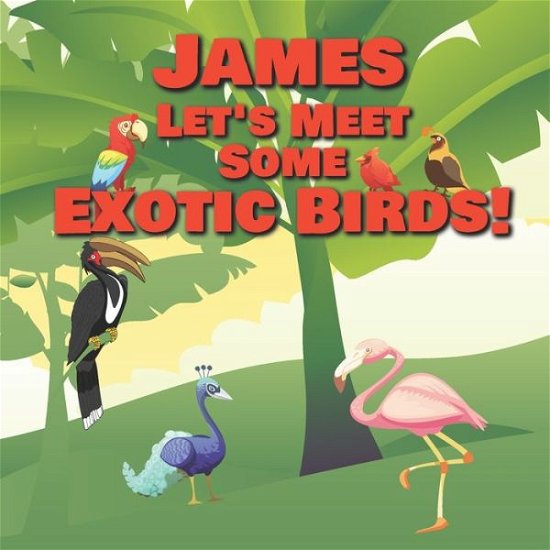 Cover for Chilkibo Publishing · James Let's Meet Some Exotic Birds! (Pocketbok) (2020)