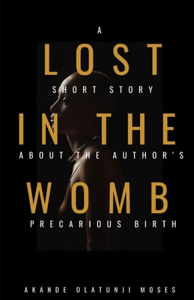 Cover for Akande Moses Olatunji · Lost in the Womb (Paperback Book) (2020)