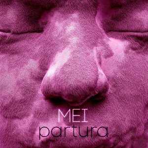 Cover for Mei · Partura (LP) (2016)