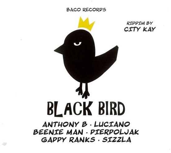 Big Slap & Black Bird Riddims By City Kay (CD) (2019)