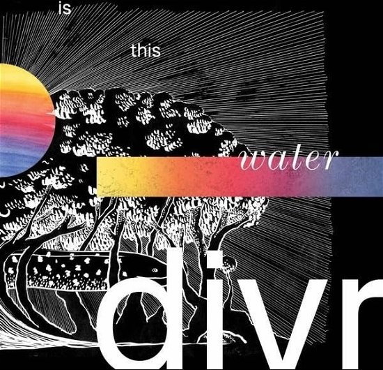 Cover for Divr · Is This Water (LP) (2024)