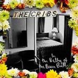 Cover for Cribs · In The Belly Of Brazen Bull (CD) [Japan Import edition] (2020)