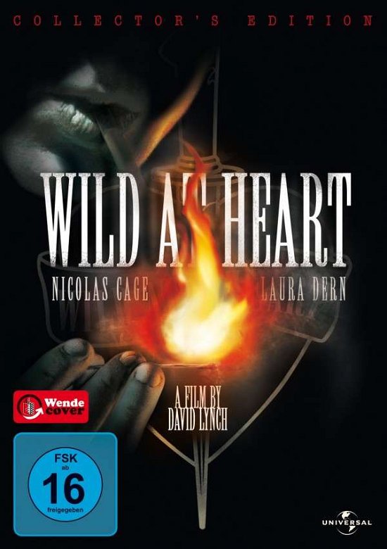 Wild at Heart-collectors Edition - Nicolas Cage,laura Dern,harry Dean Stanton - Film - UNIVERSAL PICTURES - 5050582403800 - 9. marts 2006