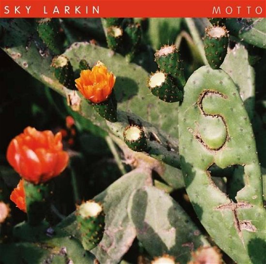 Cover for Sky Larkin · Motto (CD) (2013)