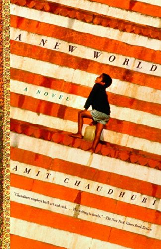 Cover for Amit Chaudhuri · A New World: a Novel (Paperback Book) (2002)