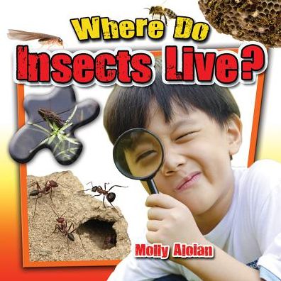 Cover for Molly Aloian · Where Do Insects Live? (Insects Close-Up) (Book) (2013)