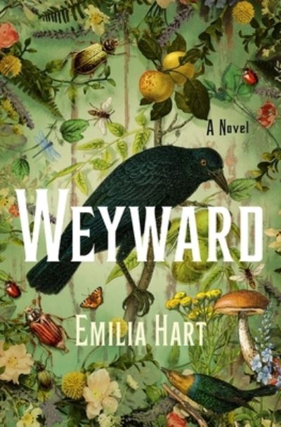 Cover for Emilia Hart · Weyward: A Novel (Hardcover Book) (2023)