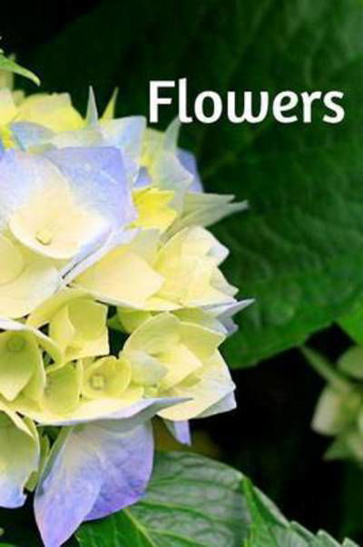 Cover for Gilou Gilles Berthin · Flowers (Paperback Bog) (2015)