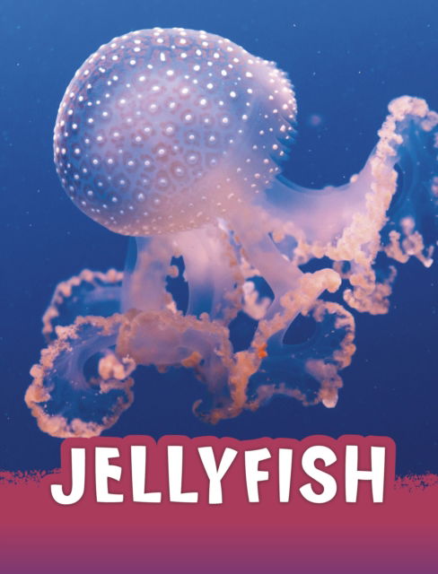 Cover for Jaclyn Jaycox · Jellyfish - Animals (Paperback Book) (2023)