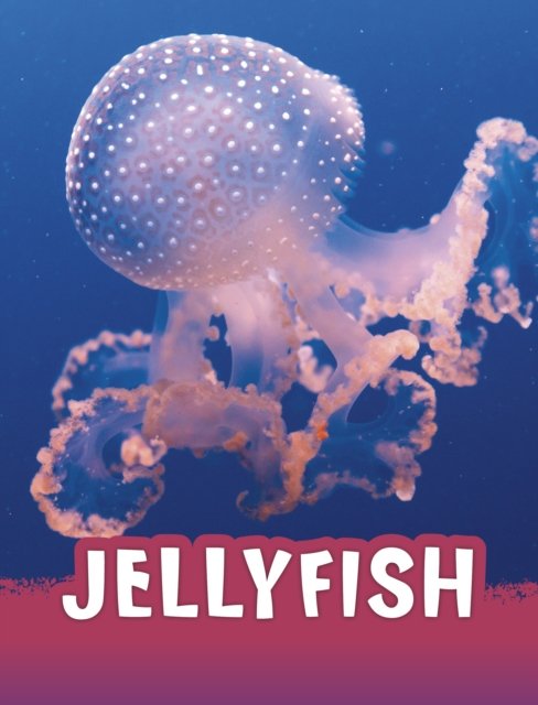 Cover for Jaclyn Jaycox · Jellyfish - Animals (Paperback Bog) (2023)