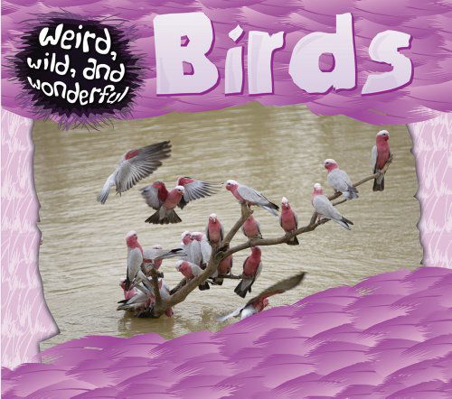 Cover for Rose Inserra · Birds (Weird, Wild, and Wonderful) (Inbunden Bok) (2010)