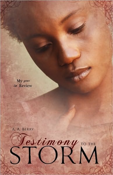 Cover for A. A. Berry · Testimony to the Storm (Paperback Book) (2010)