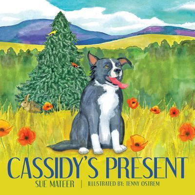 Cover for Sue Mateer · Cassidy's Present (Pocketbok) (2018)