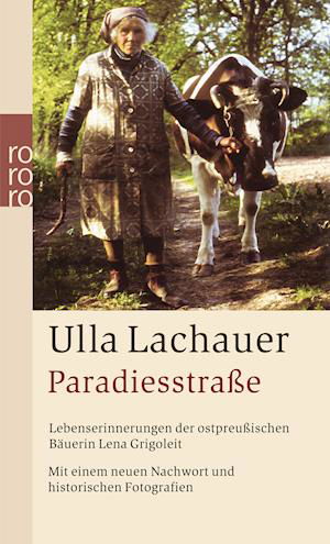 Cover for Ulla Lachauer · Roro Tb.24580 Lachauer.paradiesstraße (Bok)