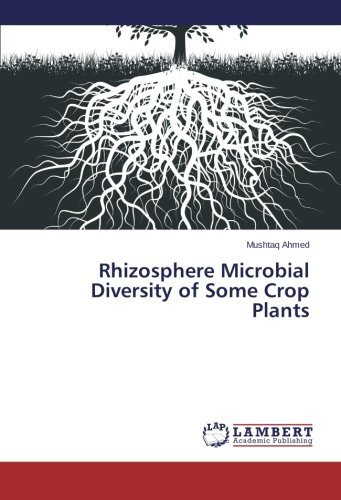 Cover for Mushtaq Ahmed · Rhizosphere Microbial Diversity of Some Crop Plants (Taschenbuch) (2013)