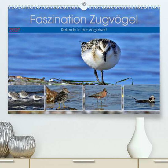 Cover for Schaack · Faszination Zugvögel - Rekorde (Buch)