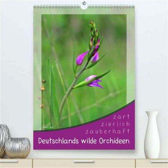 Deutschlands wilde Orchideen (Pre - Löwer - Kirjat -  - 9783672619800 - 