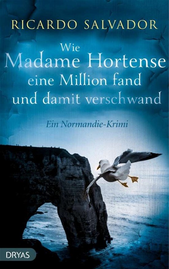 Cover for Salvador · Salvador:wie Madame Hortense Eine Milli (Book)