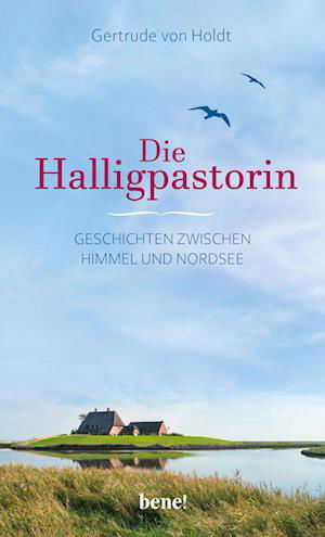 Cover for Gertrude von Holdt · Die Halligpastorin (Hardcover Book) (2022)