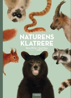 Cover for Reina Ollivier &amp; Karel Claes · Naturens Klatrere (Hardcover Book) [1er édition] (2023)