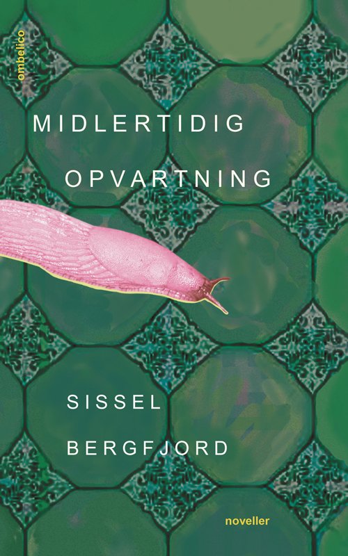 Cover for Sissel Bergfjord · Midlertidig opvartning (Sewn Spine Book) [1st edition] (2021)