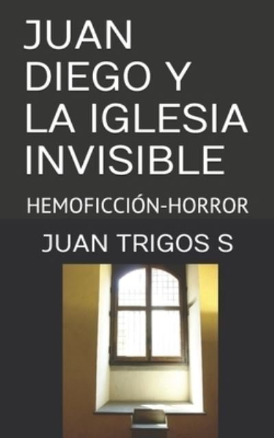Cover for Juan Trigos S · Juan Diego Y La Iglesia Invisible (Paperback Book) (2020)