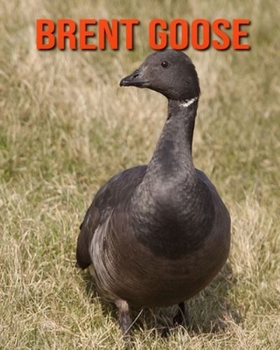 Brent Goose - William Doyle - Books - Independently Published - 9798694538800 - October 6, 2020