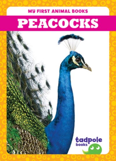 Cover for Natalie Deniston · Peacocks - My First Animal Books (Hardcover Book) (2024)