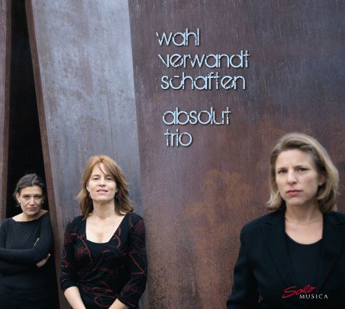 Wahlverwandtschaften - Schubert / Absolut Trio - Música - SOL - 4260123641801 - 26 de febrero de 2013