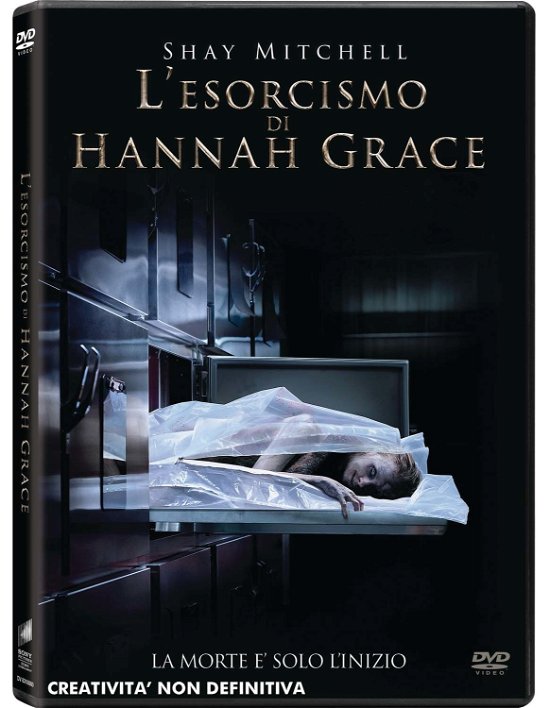 Cover for Grey Damon,stana Katic,shay Mitchell · Esorcismo Di Hannah Grace (L') (DVD) (2019)