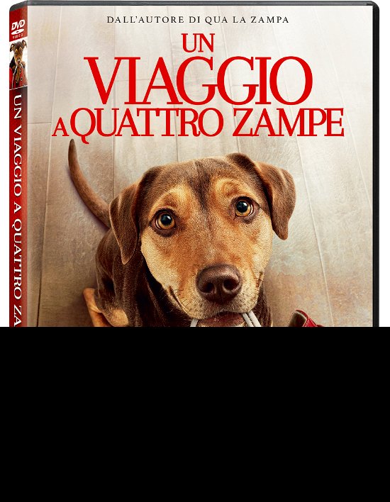 Cover for Viaggio a Quattro Zampe (Un) (DVD) (2019)