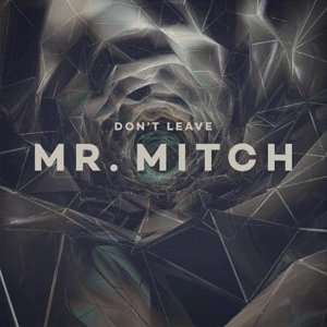 Cover for Mr. Mitch · Dont Leave (LP) (2014)