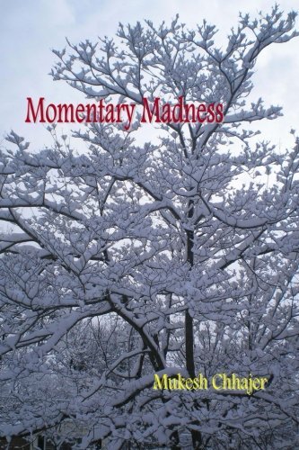 Cover for Mukesh Chhajer · Momentary Madness (Pocketbok) (2012)