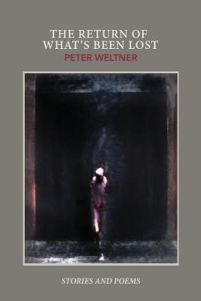 Cover for Peter Weltner · The Return of What's Been Lost (Paperback Book) (2017)