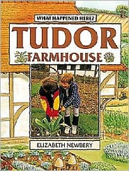 Tudor Farmhouse - What Happened Here - Elizabeth Newbery - Books - Bloomsbury Publishing PLC - 9780713662801 - February 28, 2002