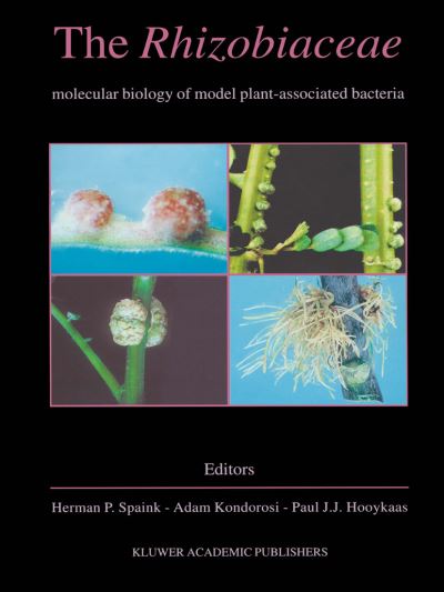 Cover for The Rhizobiaceae: Molecular Biology of Model Plant-Associated Bacteria (Paperback Book) [Softcover reprint of the original 1st ed. 1998 edition] (1998)