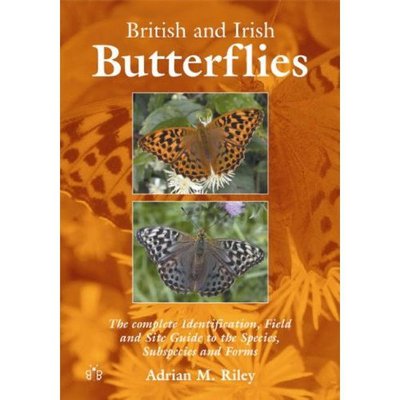 Cover for Adrian M. Riley · British and Irish Butterflies: The Complete Identification, Field and Site Guide to the Species, Subspecies and Forms (Taschenbuch) (2007)