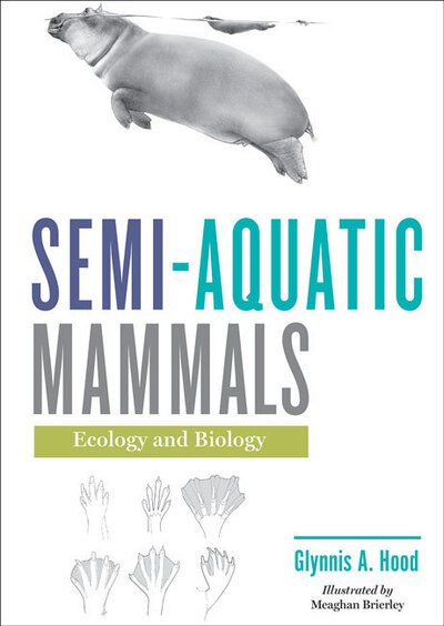 Cover for Hood, Glynnis A. (Associate Professor, Environmental Science, University of Alberta, Augustana) · Semi-aquatic Mammals: Ecology and Biology (Gebundenes Buch) (2020)