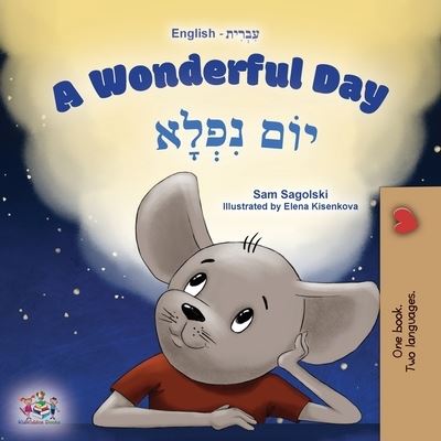 Cover for Sam Sagolski · A Wonderful Day (English Hebrew Bilingual Children's Book) - English Hebrew Bilingual Collection (Paperback Book) [Large type / large print edition] (2022)