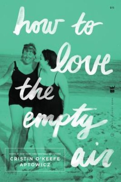 Cover for Cristin O'Keefe Aptowicz · How to Love the Empty Air (Pocketbok) (2018)