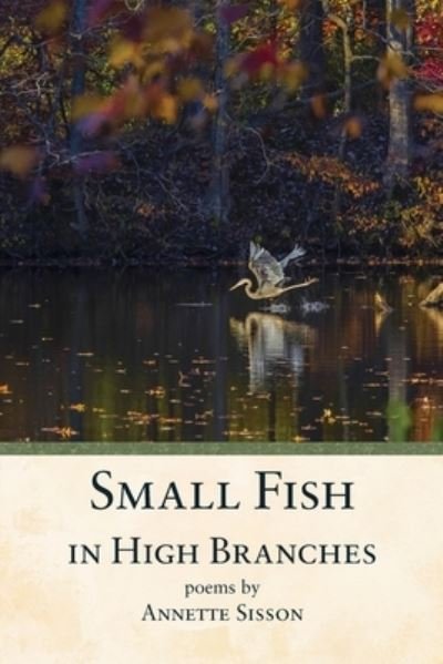 Cover for Annette Sisson · Small Fish in High Branches (Book) (2022)
